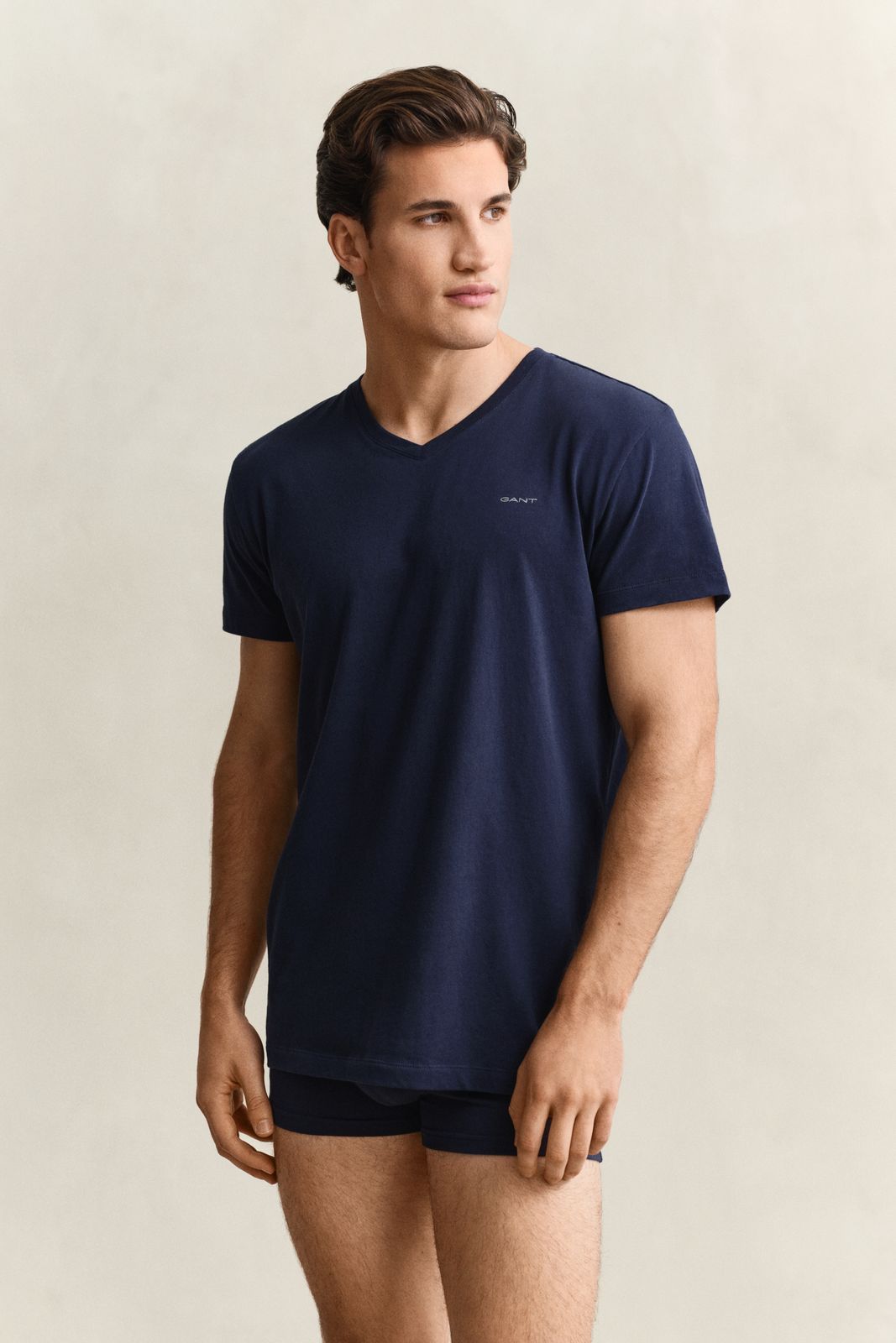 2-Pack V-Neck T-Shirts - BLACK