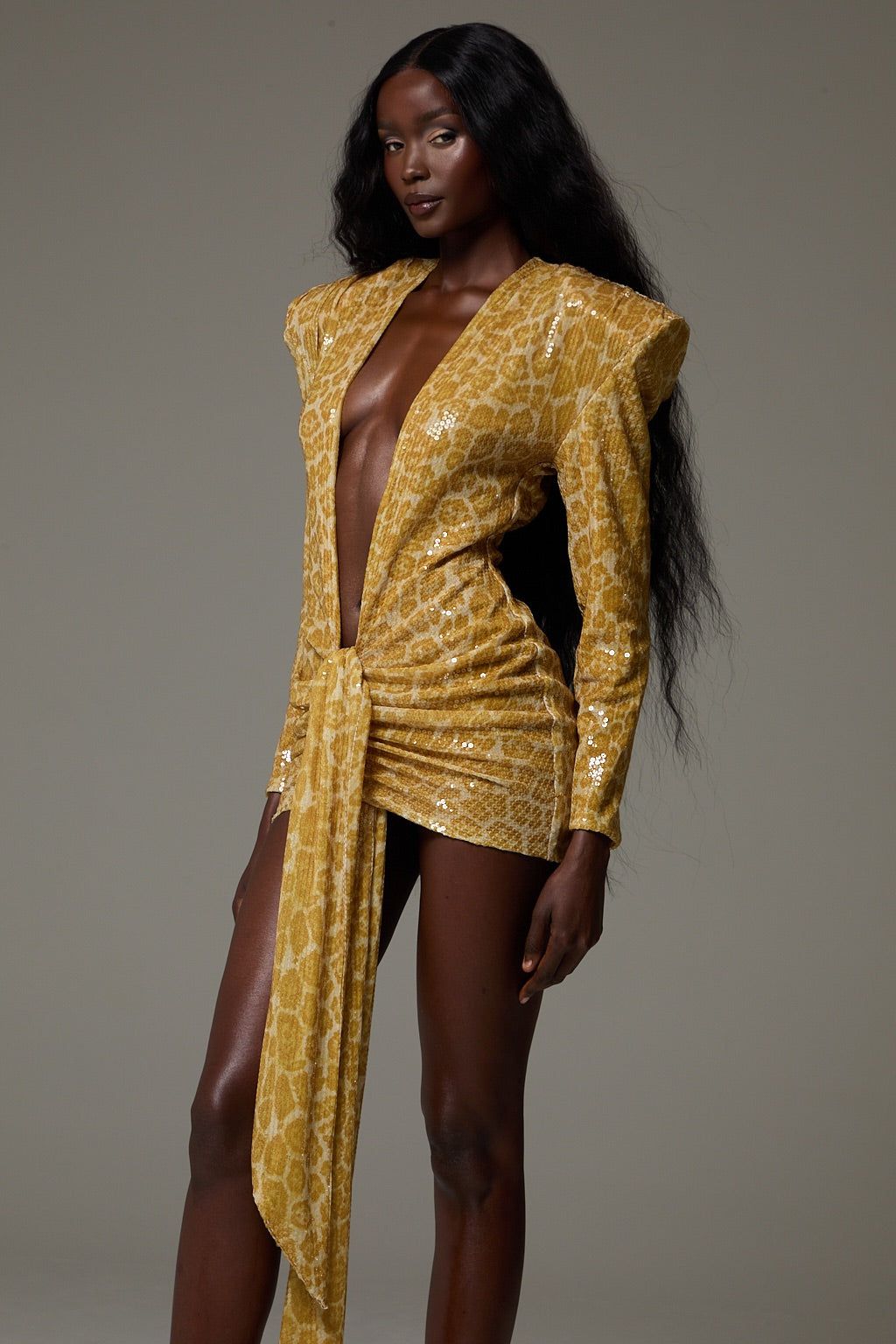 Mika Dress in Citrine Cheetah