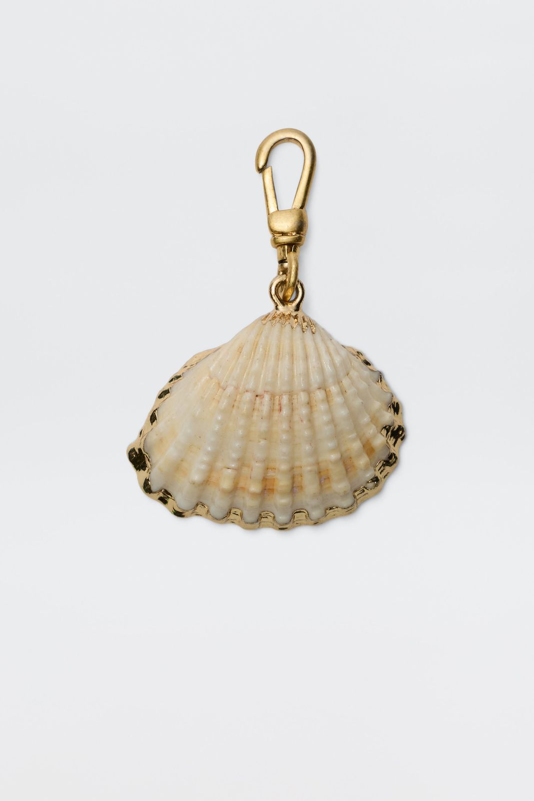 Shell - White