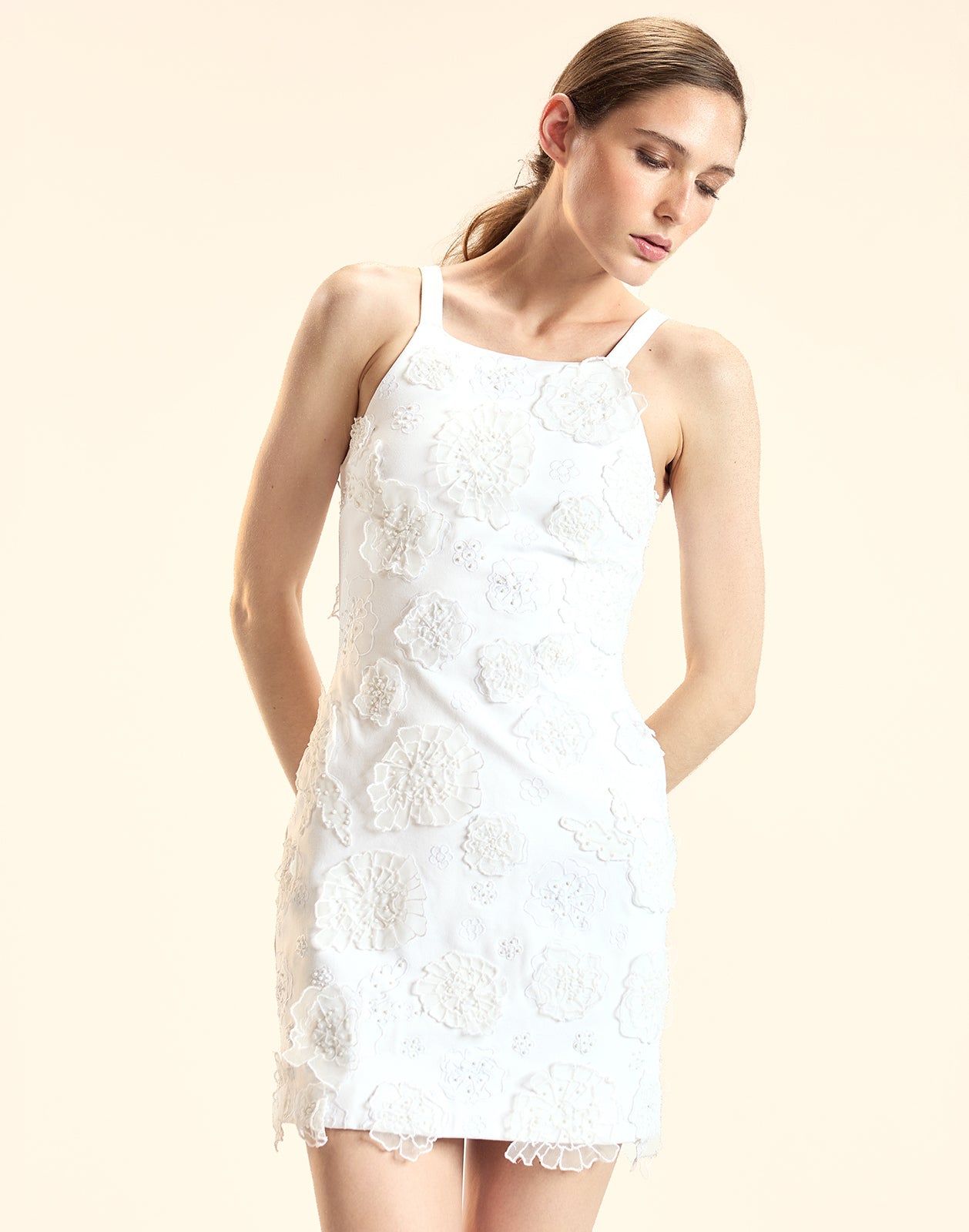Embroidered Floral Applique Dress