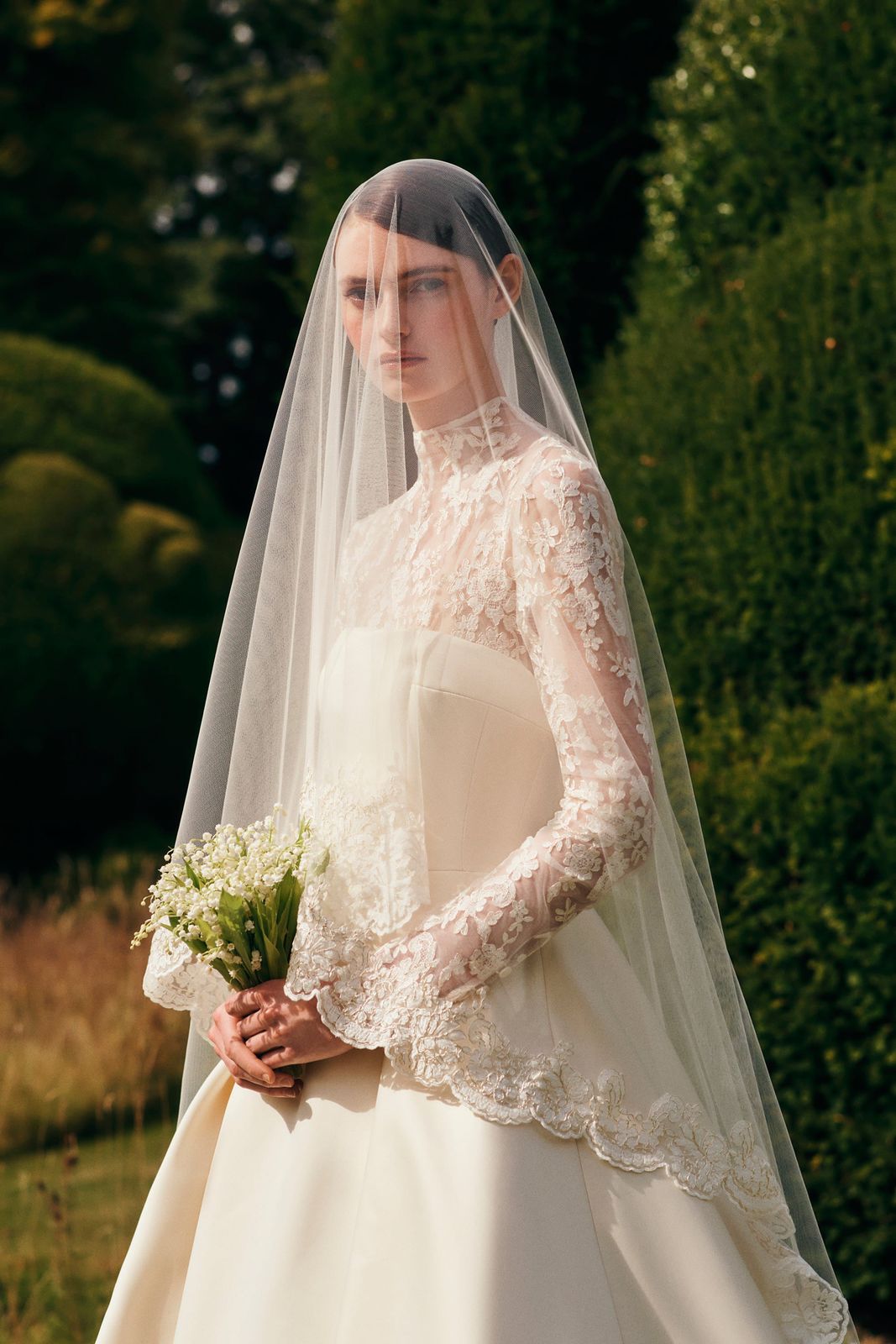 Pleione Bridal Veil